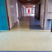 Lichtenbeek